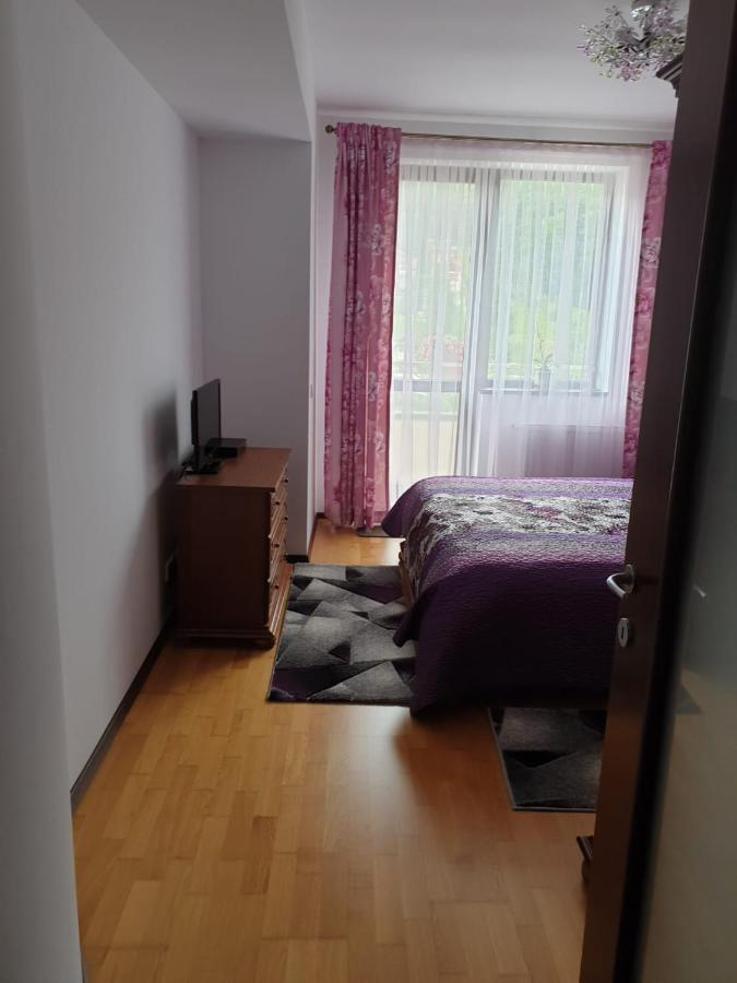 Sophie Apartament Apartamento Sinaia Exterior foto