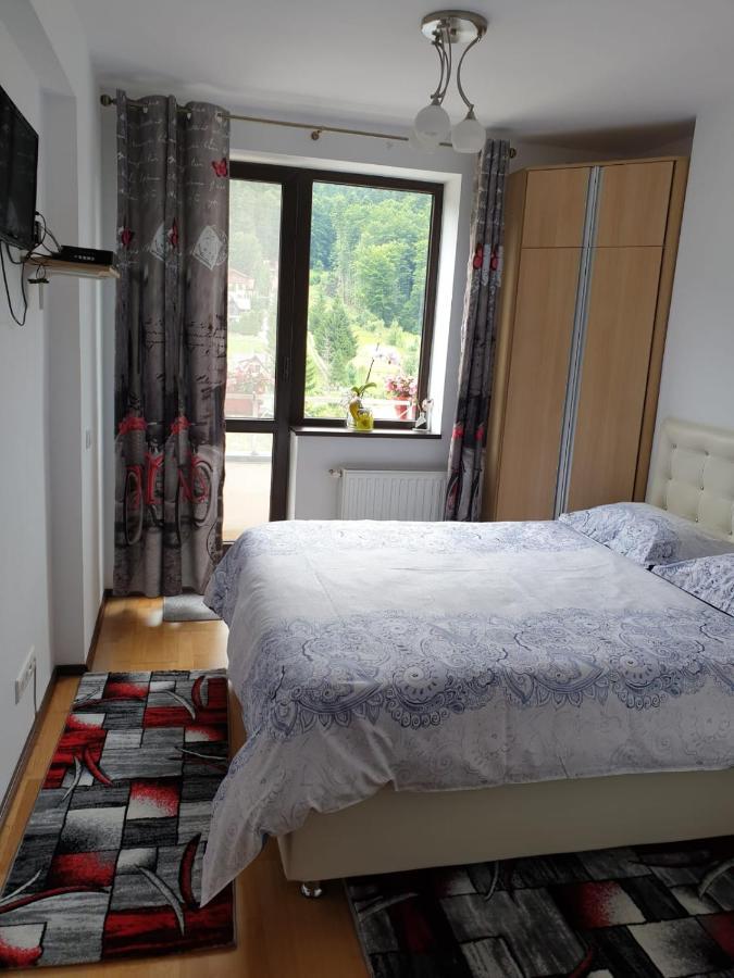 Sophie Apartament Apartamento Sinaia Exterior foto