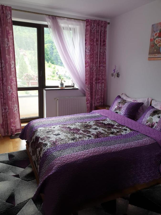 Sophie Apartament Apartamento Sinaia Exterior foto